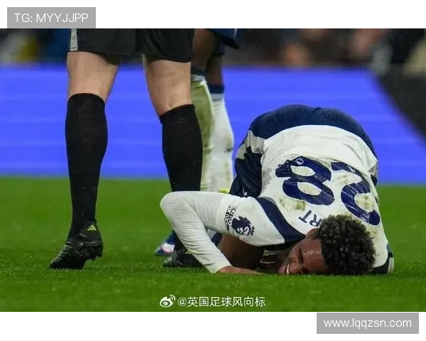 热刺保级战再遇伤病打击 索兰克恐赛季报销